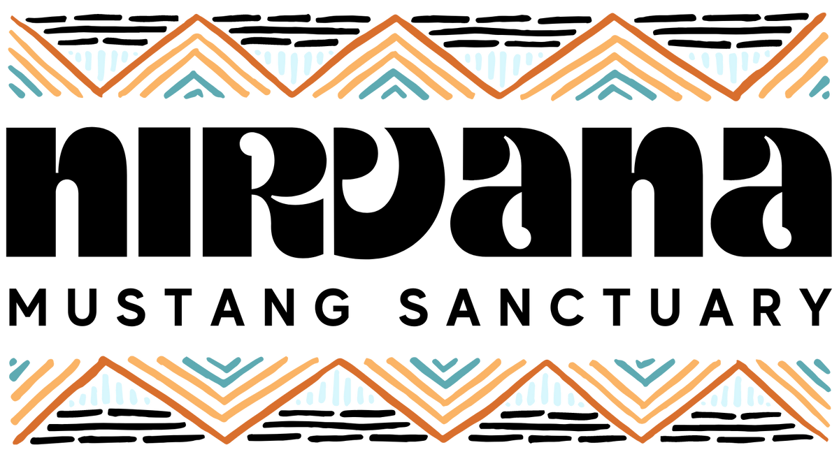 MISSION Save Colton, Mister, Dallas, Ollie, and Pecos from Shipping t