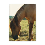 Load image into Gallery viewer, "The Mark They Left Behind" Canvas
