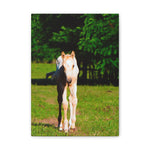 Load image into Gallery viewer, "Small Steps, Wild Heart" Canvas
