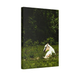Load image into Gallery viewer, "Dawn in the Light" Canvas
