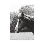 Load image into Gallery viewer, "A Glimpse Back" Canvas
