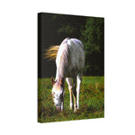 Load image into Gallery viewer, "Carried By the Wind" Canvas
