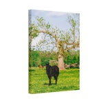 Load image into Gallery viewer, "Midnight Blooms" Canvas
