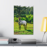 Load image into Gallery viewer, "Sunshine and Magnolia" Canvas
