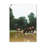 Load image into Gallery viewer, "Together at the Water's Edge" Canvas
