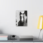 Load image into Gallery viewer, "Tristan: From Wild to Worth" Canvas
