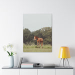 Load image into Gallery viewer, "Saturns Baby Girl" Canvas
