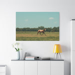 Load image into Gallery viewer, "Sedona. Run Free." Canvas
