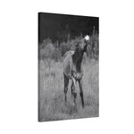 Load image into Gallery viewer, "Baby Henley Smiling" Canvas
