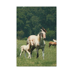 Load image into Gallery viewer, "Painted by Time" Canvas
