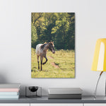 Load image into Gallery viewer, "Magnolia's Path" Canvas
