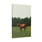 Load image into Gallery viewer, "Wild in the Sun" Canvas
