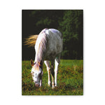 Load image into Gallery viewer, "Carried By the Wind" Canvas
