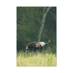 Load image into Gallery viewer, "Thor: Born Free at Nirvana" Canvas
