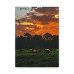 Load image into Gallery viewer, "The One Who Watches" Canvas
