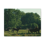 Load image into Gallery viewer, "Following the Herd" Canvas
