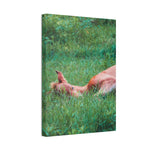 Load image into Gallery viewer, "Safe Enough to Dream" Canvas
