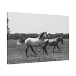 Load image into Gallery viewer, "Chasing His Shadow" Canvas
