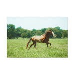 Load image into Gallery viewer, "Bronze, the Unbroken" Canvas
