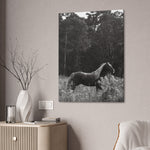 Load image into Gallery viewer, "Ely-Beneath the Wild Light" Canvas
