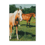 Load image into Gallery viewer, Copy of "Two Side of the Same Spirit" Canvas
