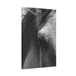 Load image into Gallery viewer, "The Window to the Wild" Canvas
