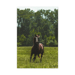 Load image into Gallery viewer, "Goose Being Goose" Canvas
