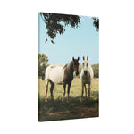 Load image into Gallery viewer, "Framed in the Wild" Canvas
