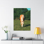 Load image into Gallery viewer, "Golden and Glowing Amongst the Oaks" Canvas
