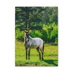 Load image into Gallery viewer, "Sunshine and Magnolia" Canvas
