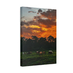 Load image into Gallery viewer, "When the Sky Catches Fire" Canvas
