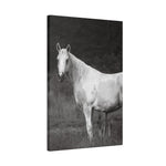 Load image into Gallery viewer, "Where She Stands Now" Canvas
