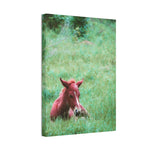 Load image into Gallery viewer, "Resting Amongst the Wild" Canvas
