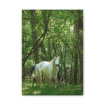 Load image into Gallery viewer, "The Watcher and the Wanderer" Canvas

