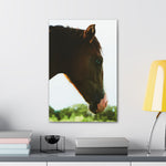 Load image into Gallery viewer, "Baby Henley's Eyes" Canvas

