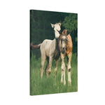 Load image into Gallery viewer, "Wild Hearts, Side by Side" Canvas
