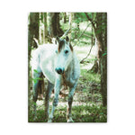 Load image into Gallery viewer, "Curiously Quiet" Canvas
