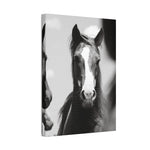 Load image into Gallery viewer, "Tristan: From Wild to Worth" Canvas
