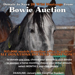 Load image into Gallery viewer, $2,356 left to raise to save 28 lives at the January Bowie Auction!
