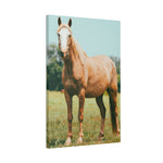 Load image into Gallery viewer, "She Stands Anyway" Canvas
