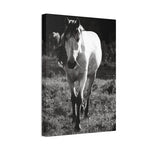 Load image into Gallery viewer, "The Weight of His Story" Canvas
