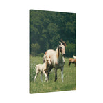 Load image into Gallery viewer, "Painted by Time" Canvas
