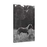 Load image into Gallery viewer, "Ely-Beneath the Wild Light" Canvas

