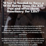 Load image into Gallery viewer, $2,356 left to raise to save 28 lives at the January Bowie Auction!
