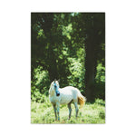Load image into Gallery viewer, "Where Her Eyes Wander" Canvas
