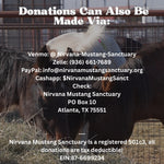 Load image into Gallery viewer, $26,859 needed to rescue 35 Mustangs from March Bowie Auction!
