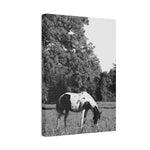 Load image into Gallery viewer, "Rooted in Stillness" Canvas
