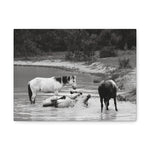 Load image into Gallery viewer, "A Moment of Play" Canvas
