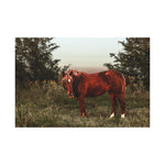 Load image into Gallery viewer, &quot;Ember in the Field&quot; Canvas
