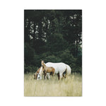 Load image into Gallery viewer, "The Moment He Looked Up" Canvas

